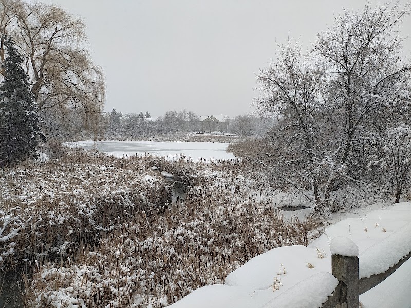 Shirley's Brook Park