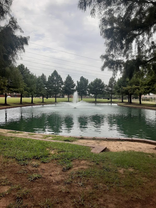 High Hawk Martin Meadows Entrance Park