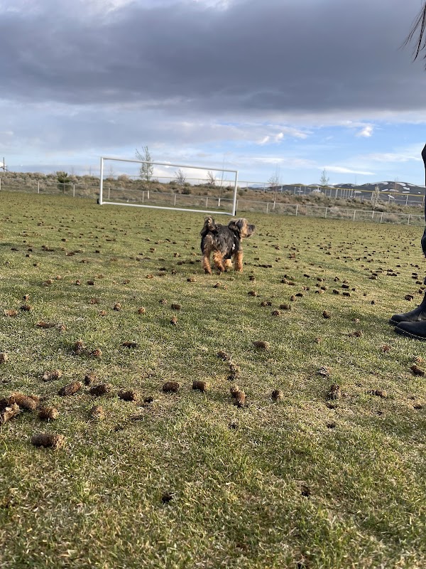 North Valleys Off Leash Dog Field