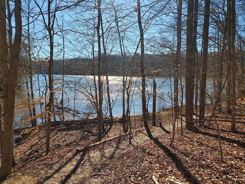 Bull Run Occoquan Trail