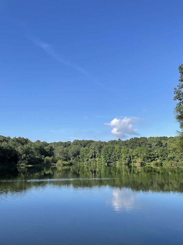 Gammino Pond Preserve