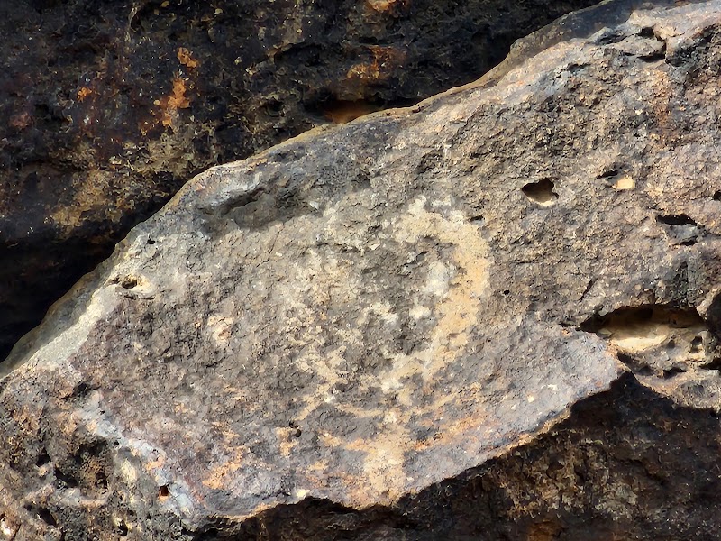 Deer Valley Petroglyph Preserve