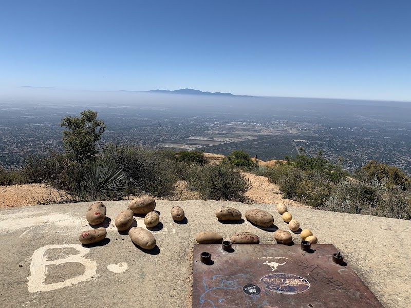 Potato Mountain