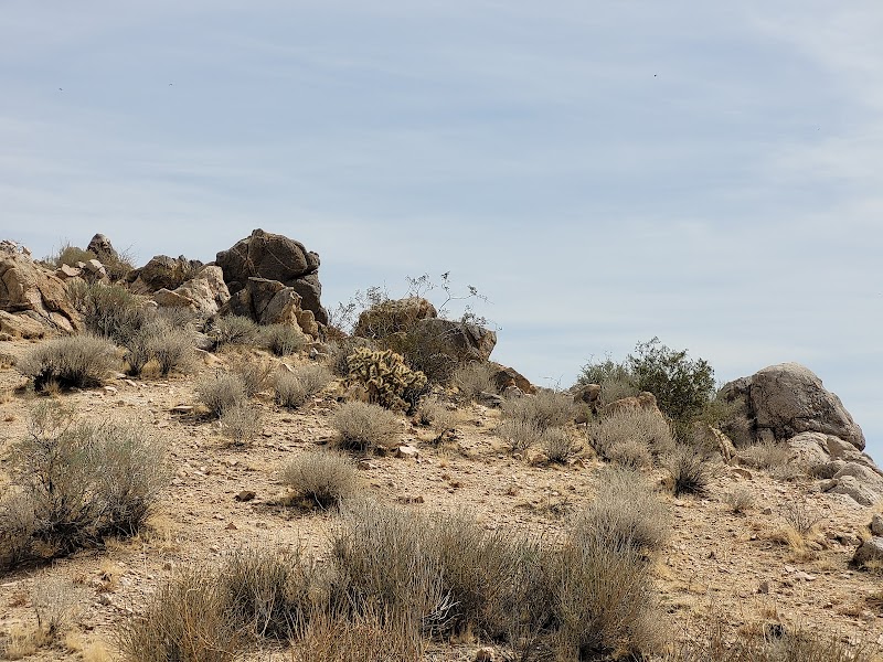 Tameobit Wildlife Sanctuary