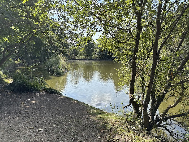 Duck Bridge Hiltingbury Lakes