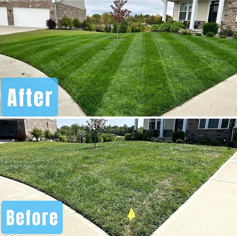 Deepest Green Solutions