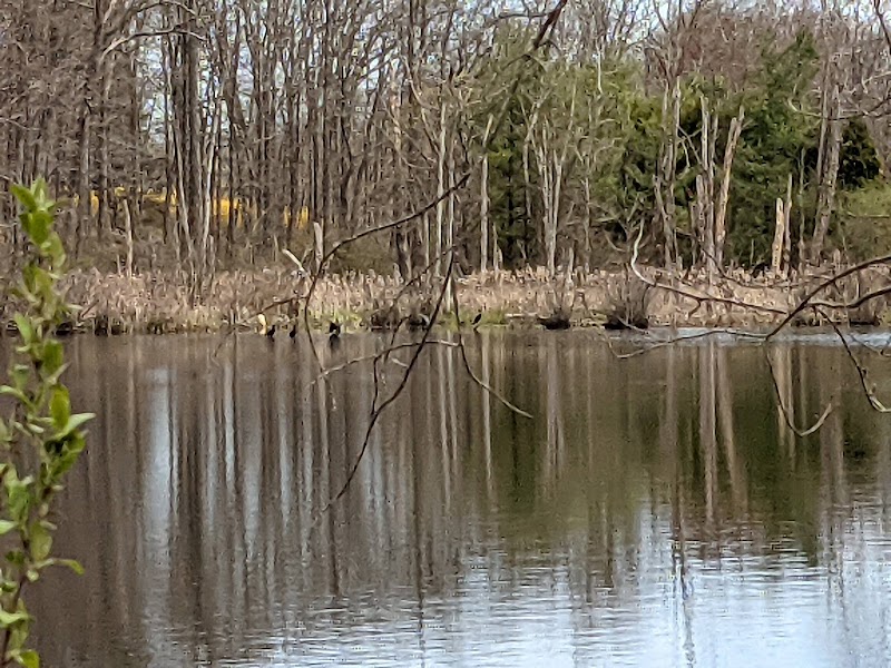 Dunham Pond