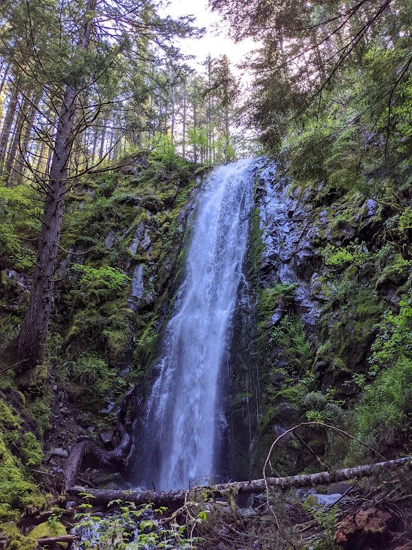 Tarbell Trail