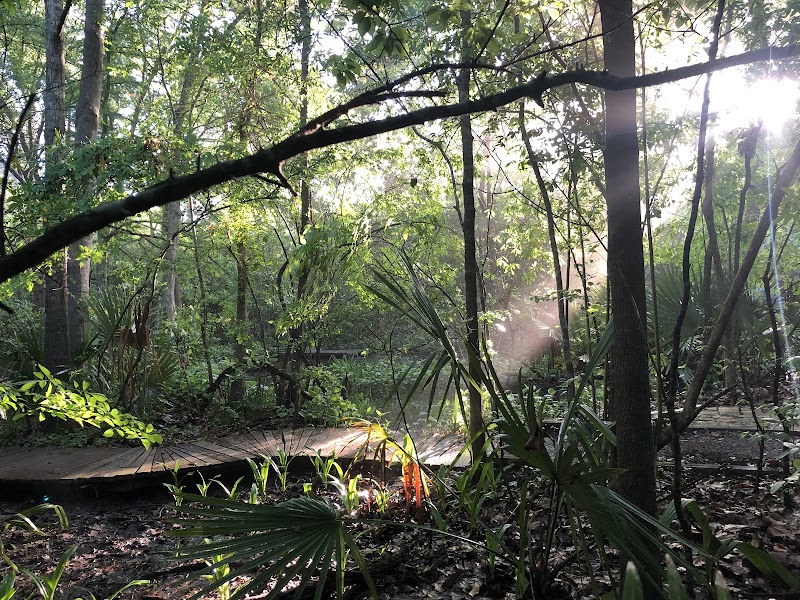 Edith L Moore Nature Sanctuary