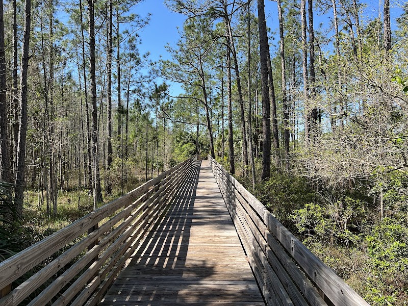 Cypress Creek Nature Preserve (Tampa)