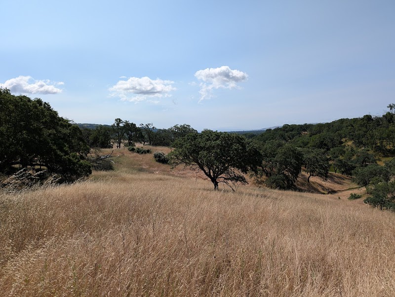 Bouverie Preserve