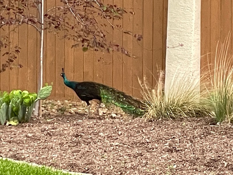 Follen Memorial Curb Park