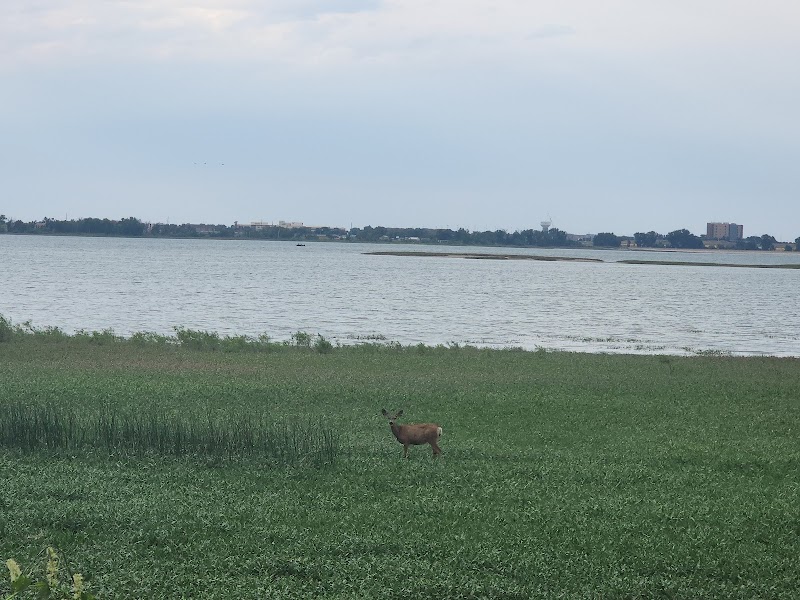 Lake Perimeter Trail
