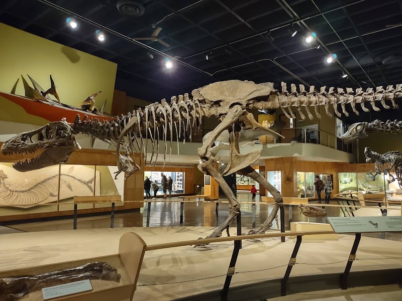 Cleveland Museum of Natural History