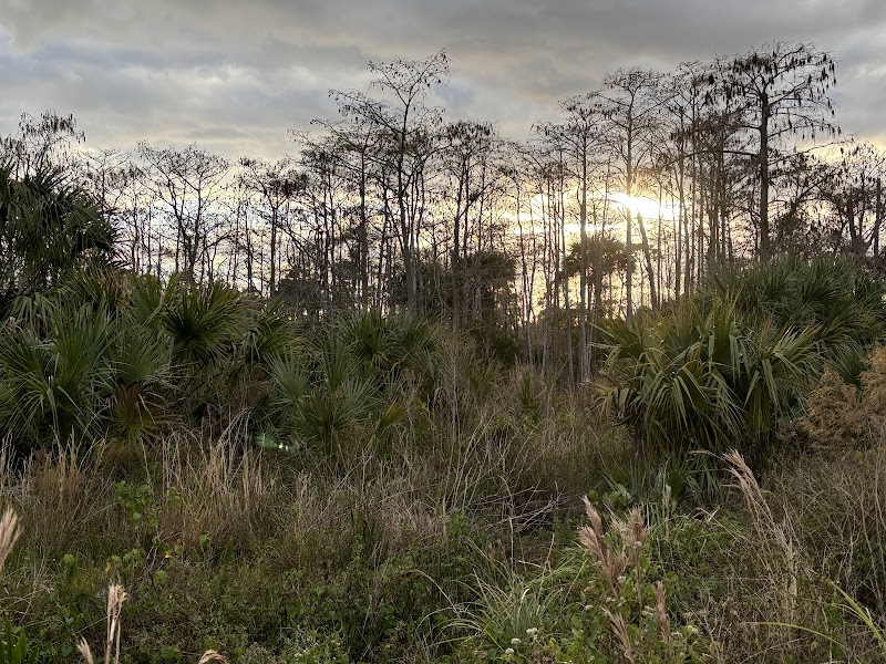 North Jupiter Flatwoods Natural Area