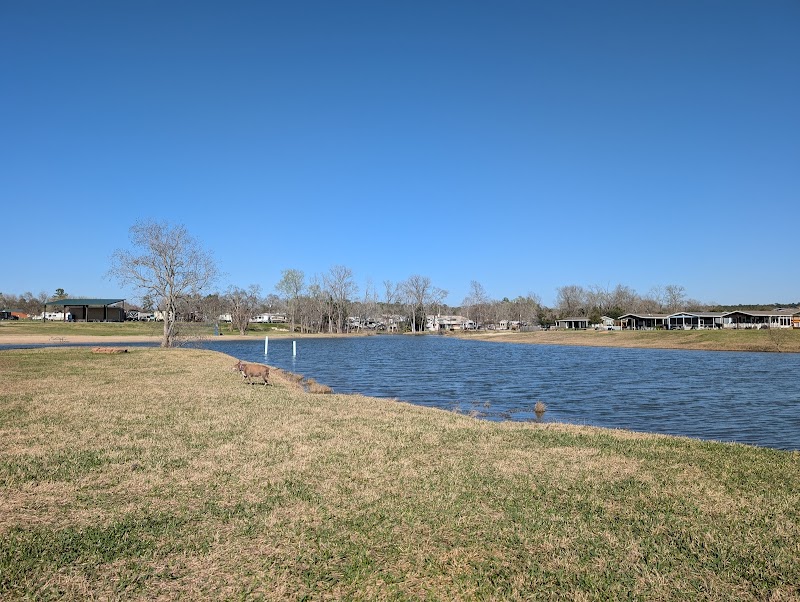 Lake Conroe RV dock