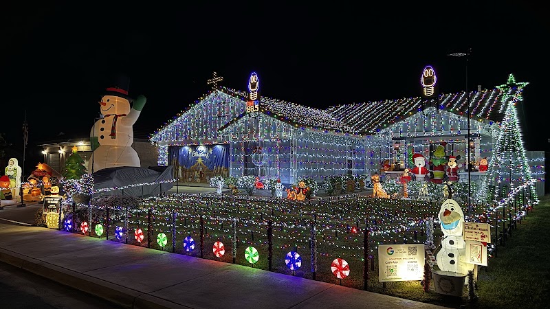 Holiday Lights On Hague