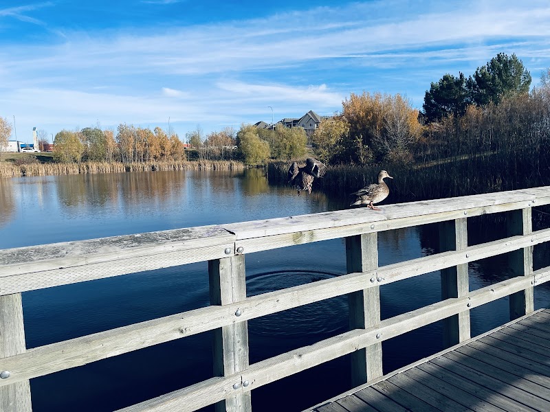 Cooper Pond