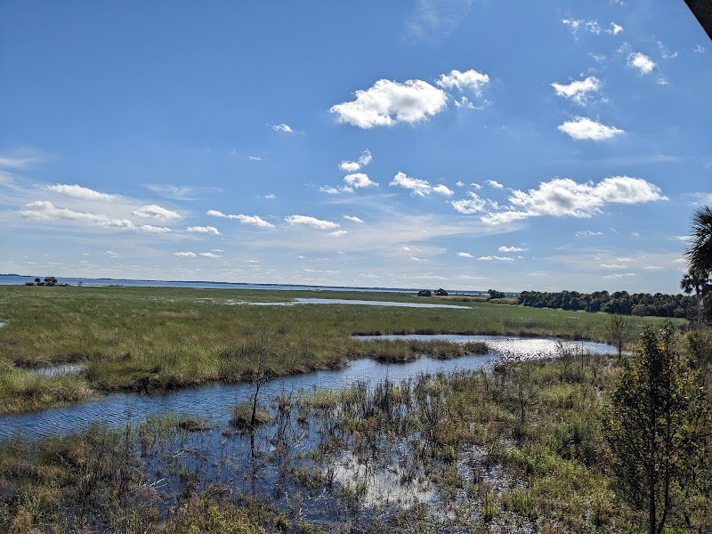 Observation Tower for Lake Harney