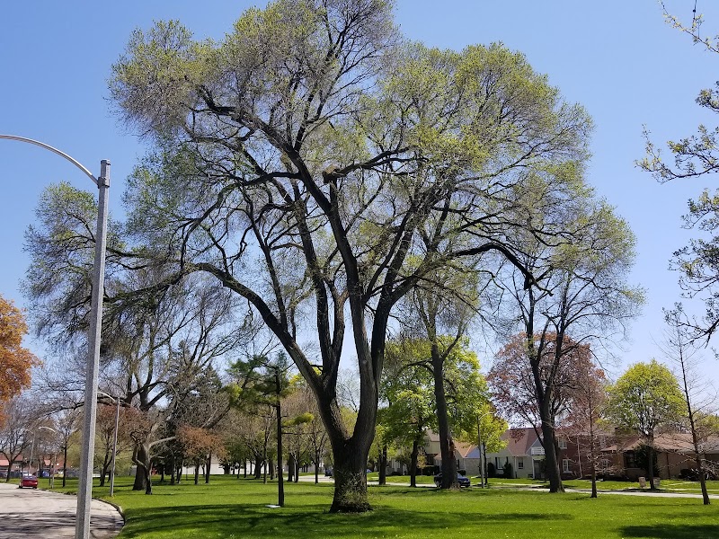 Elmhurst Park