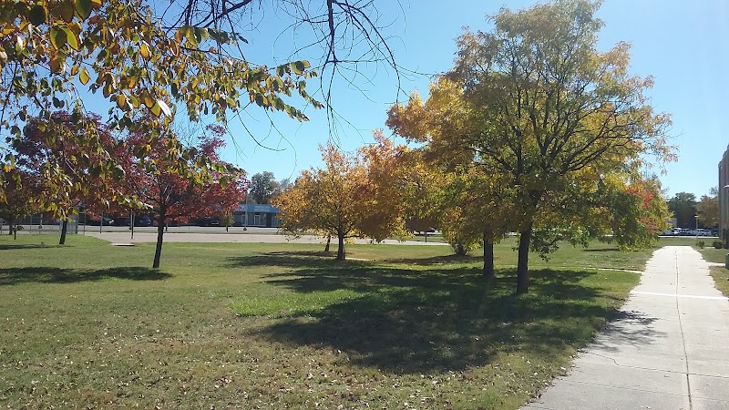 Lowry Park