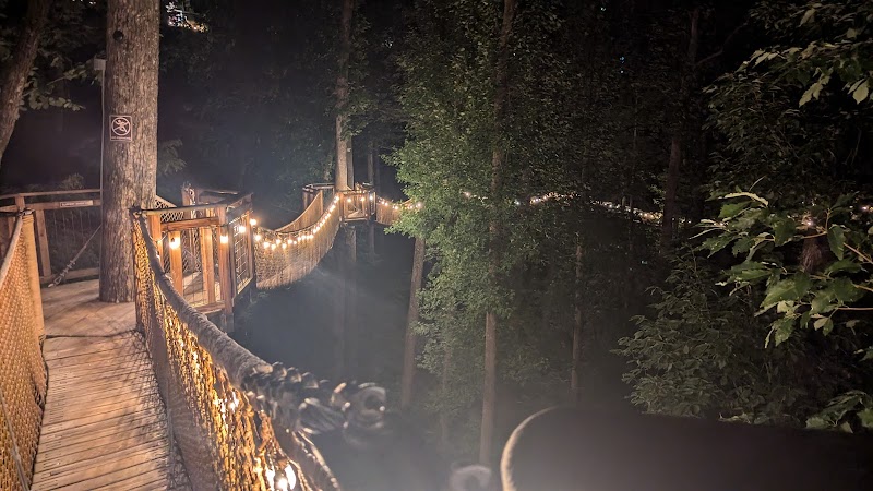 Treetop Skywalk at Anakeesta