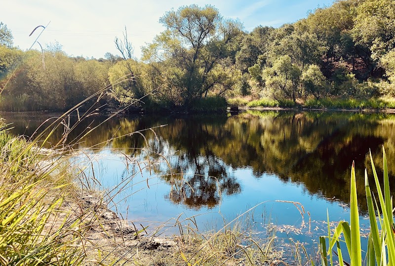 Healdsburg Ridge Open Space Preserve