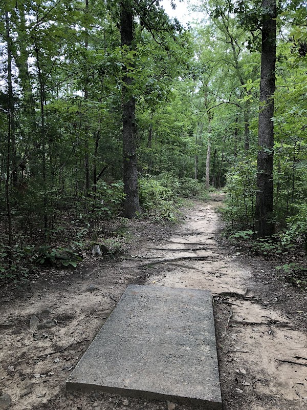 Cornwallis Road Park