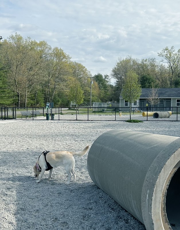 Webster Dog Park