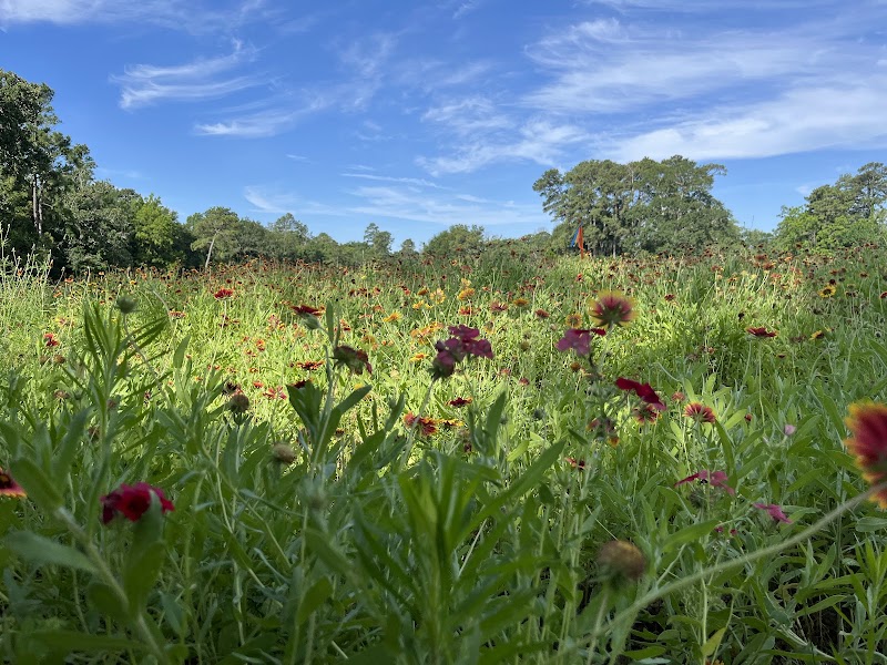 Longwood Prairie