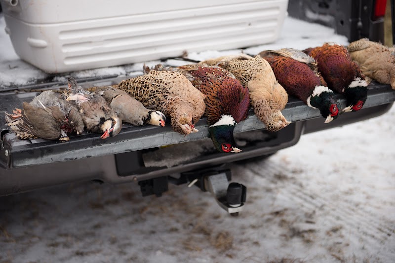 Big R Bird Ranch