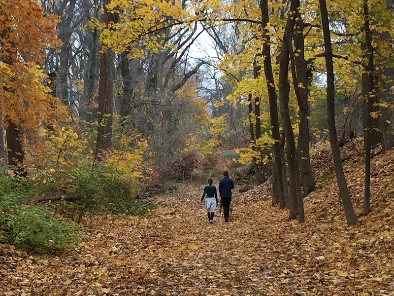 Wissahickon Valley Park