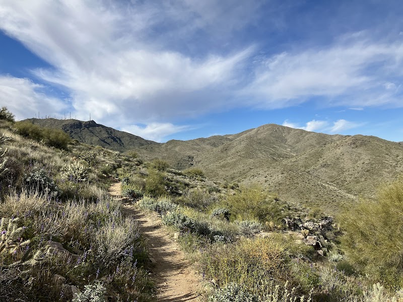 Mesquite Canyon Trail