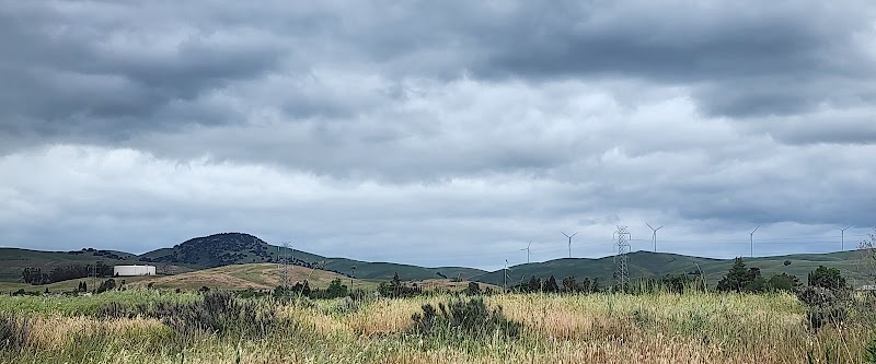 Livermore Wetlands Preserve