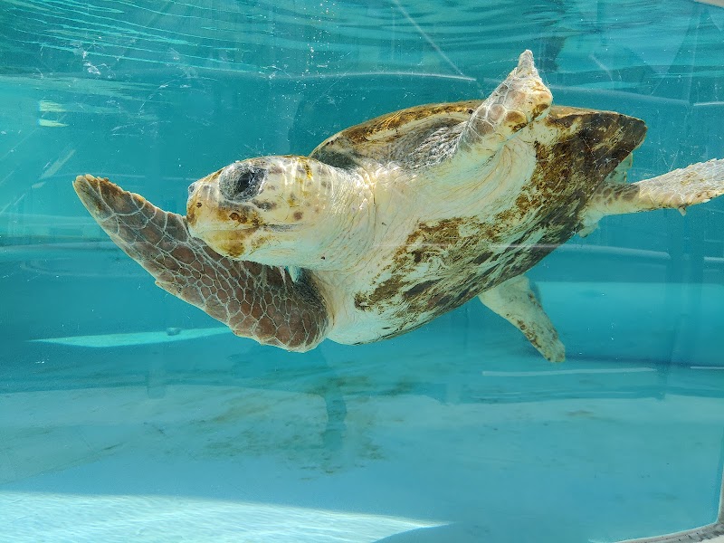 Loggerhead Park