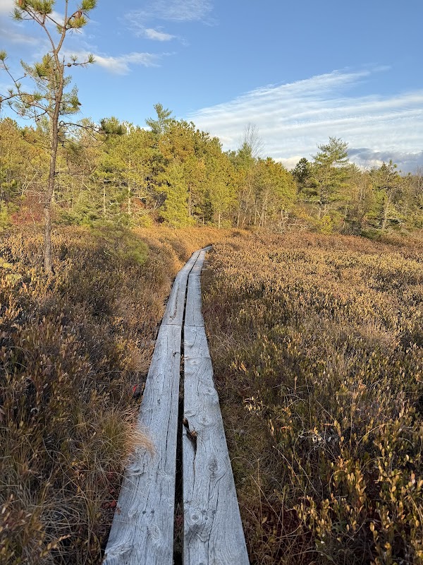 Ponemah Bog trailhead