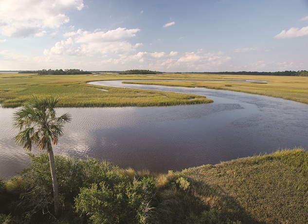 Guana River Wildlife Management Area