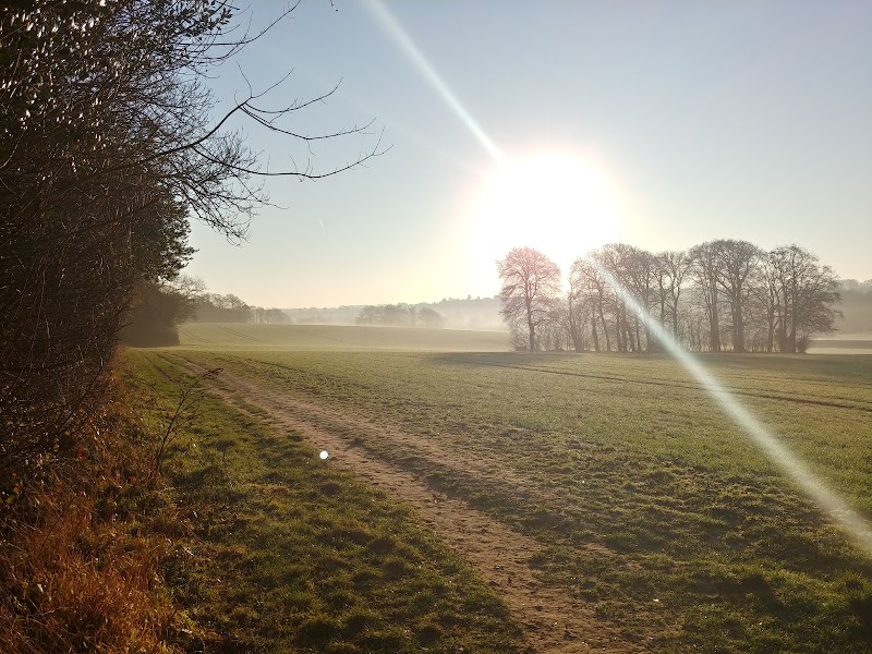 The Larches (High Elms CP)