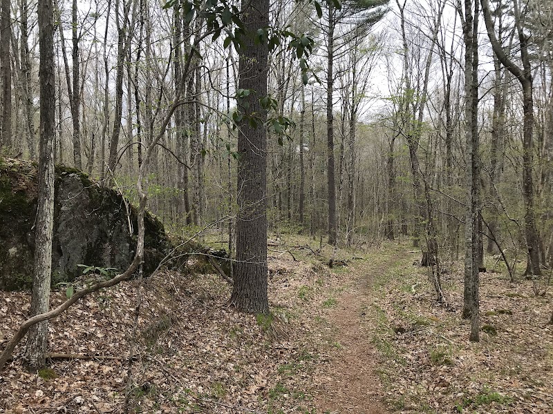 Iron Mine Valley Preserve