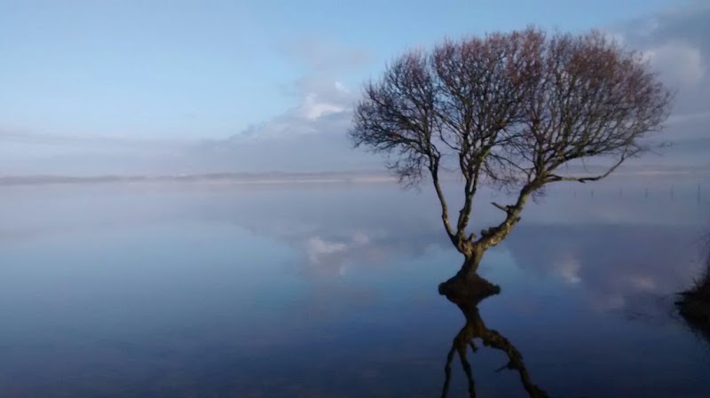 Kenfig National Nature Reserve