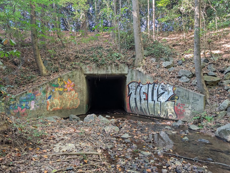 Big Trees Creek Tunnel