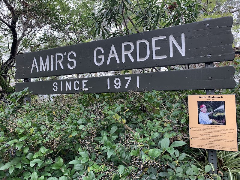Amir's Garden