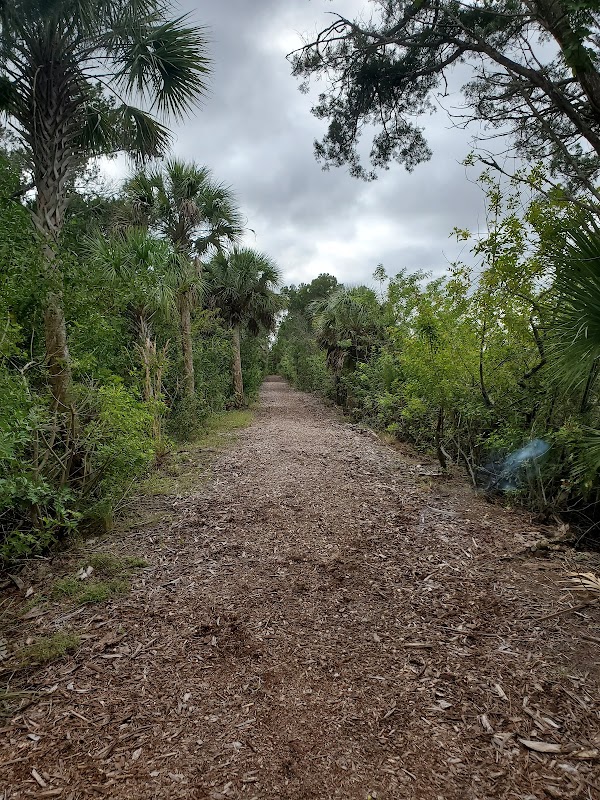 Pasco Palms Preserve