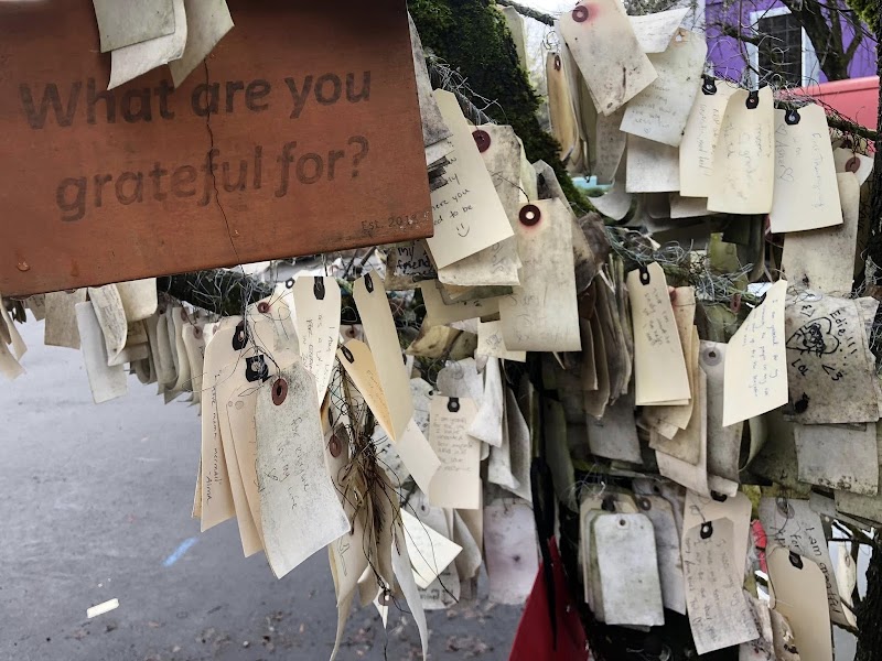 Gratitude Tree