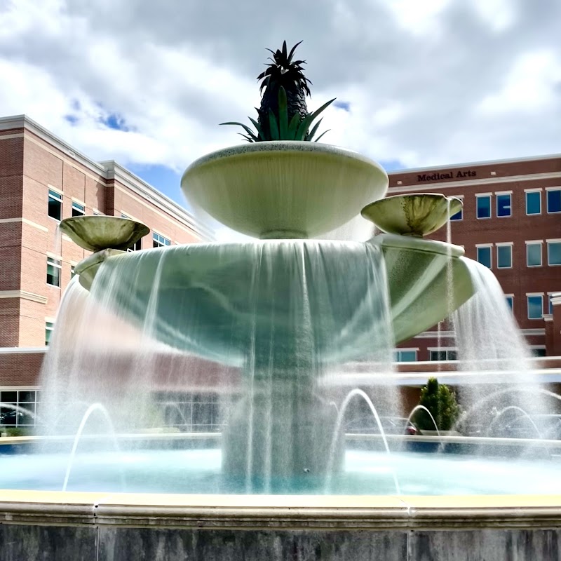 Pineapple Water Fountain