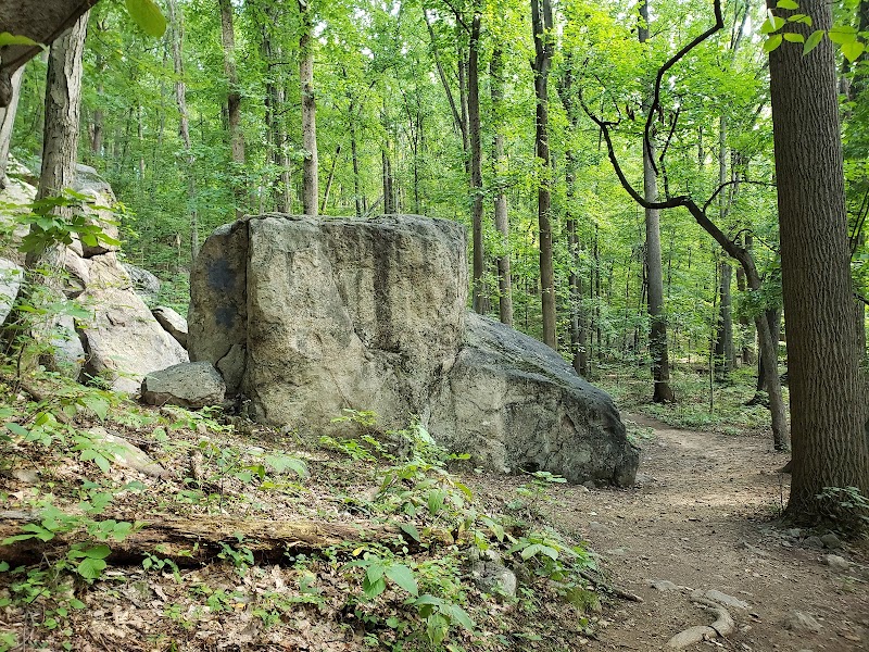 Wildlands Conservancy’s South Mountain Preserve