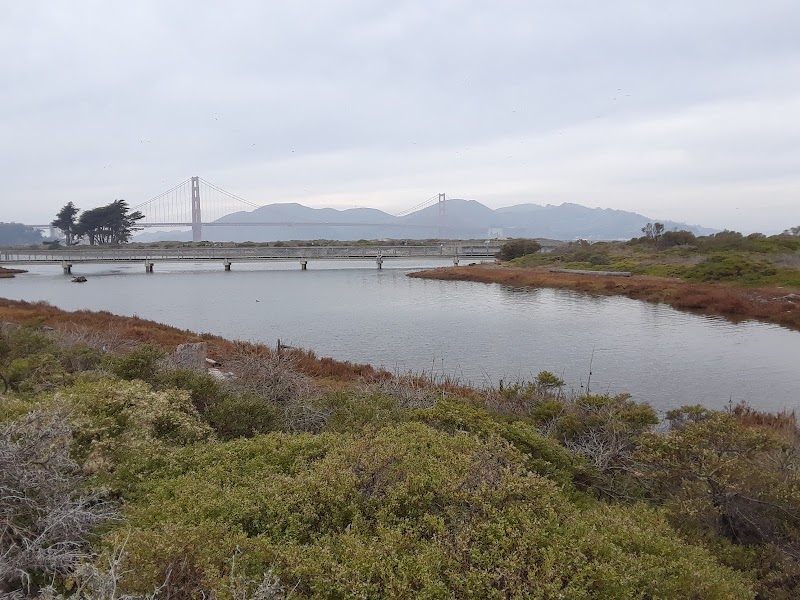 Crissy Field Marsh