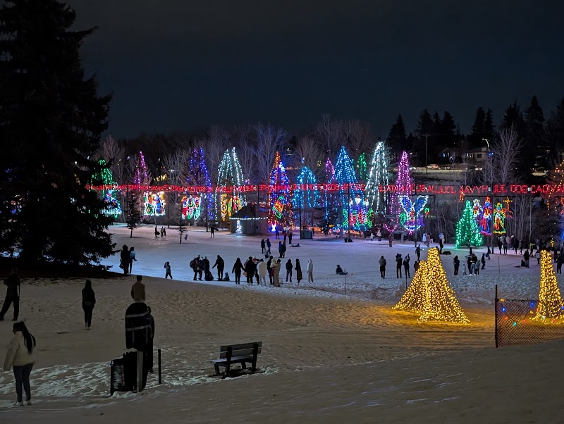 Lions' Festival of Lights