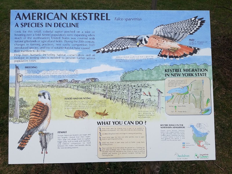 Derby Hill Bird Observatory