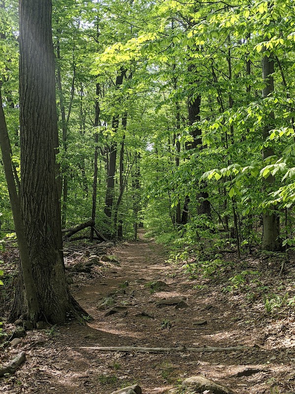 Sleeping Giant--East Parking